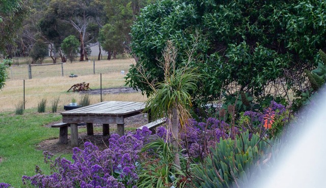 Step back into nature at Bonnie Brae Cottage