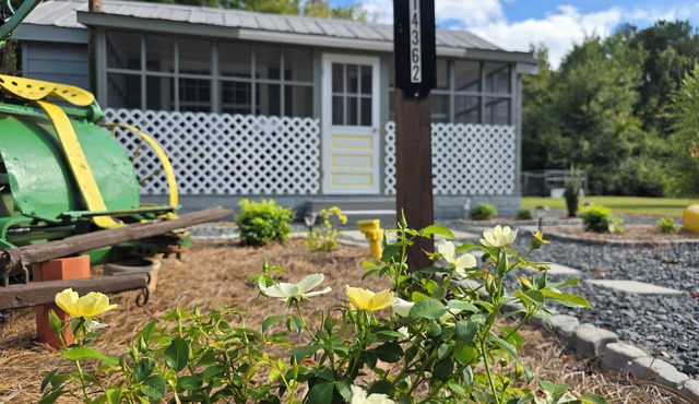 Step Into History: Reimagined Tobacco Pack House Tiny Farm House