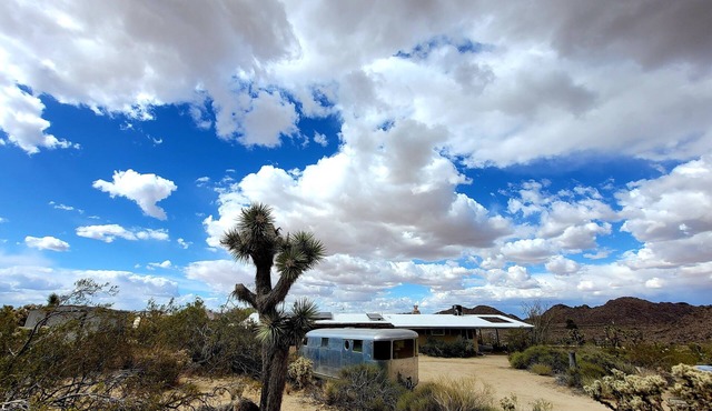 Stephs Panorama Paradise:7.5 acres of wildlife viewing peace. Minutes from Park