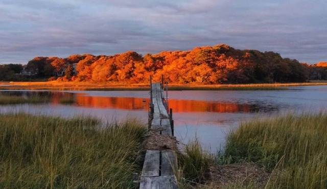 Steps away from Craigville Beach. Riverfront! Your own private bird sanctuary!