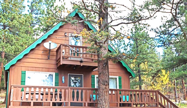 Steps away from Wild Basin:RMNP- 2-bdrm cabin perfect for adventure or relaxing!