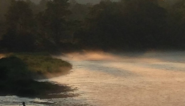 Steps away from world famous Delaware River fishing. Cabins on spacious lot.