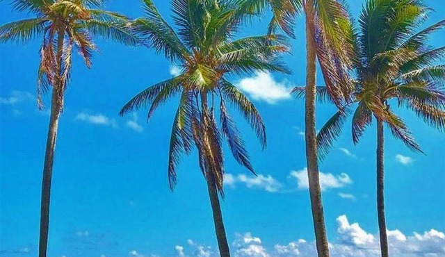 Steps from the Beach One Bedroom with Pool -