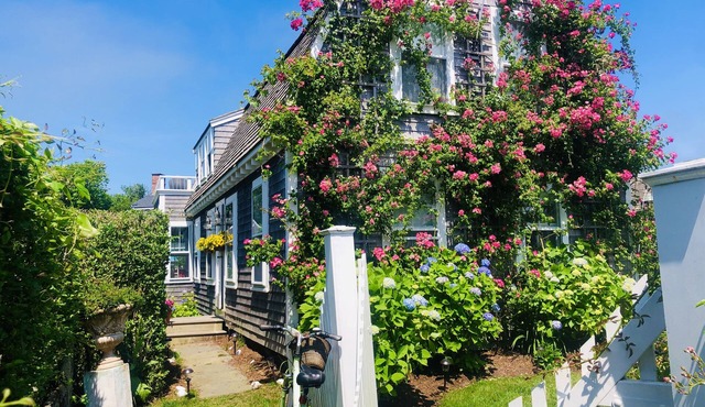 Steps from the beach views of the ocean