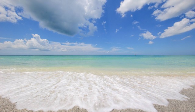 Steps to 2025 #1 rated Beach in USA Spacious2+2Condo,pool,garageTranquil Setting