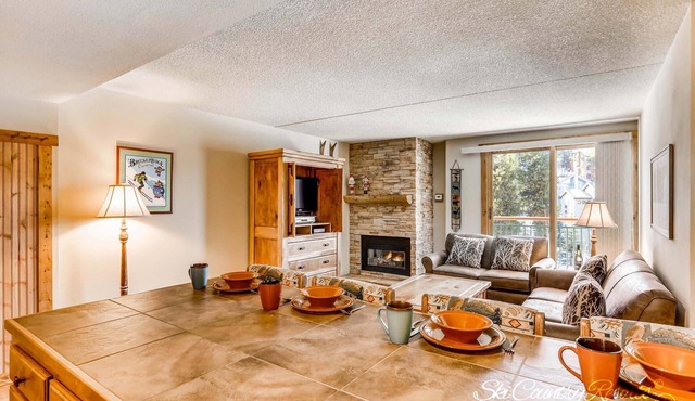 Steps to Adventure, Remodeled Kitchen, Wi-Fi, Ski in/out, Gas Fireplace TE411