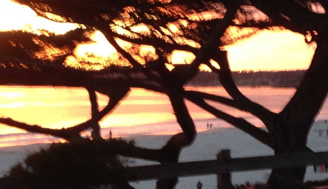 Steps To Carmel Beach, in the golden rectangle. The perfect location!
