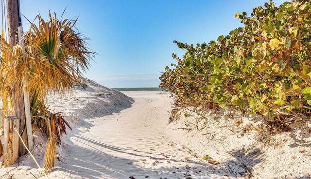 Steps to Shore: Walkable Clearwater Beach Condo