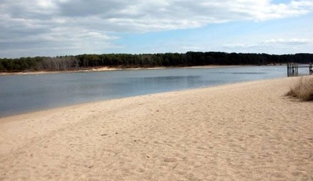 Steps to the Beach in East Falmouth, PET FRIENDLY & clubhouse heated pool.