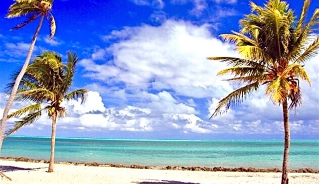 Steps to the Sand, Cozy 1 Bedroom Getaway with Pool -