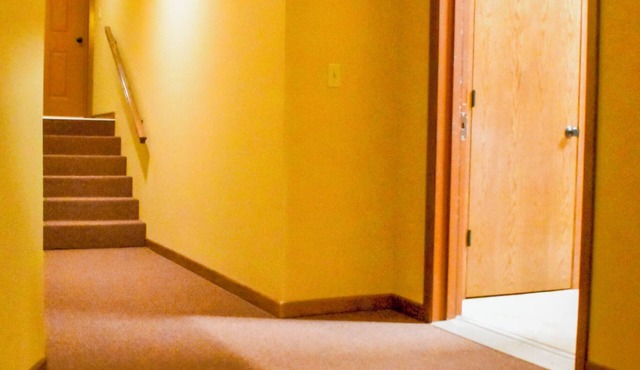 Steps to the Square! Walk to Coffee, Dining, & Big Spring Park