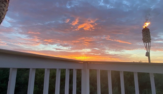 Steps to water! 3 BD, 3 Ba, Pets OK, fenced. Remote work, Kitesurfing, Birding!