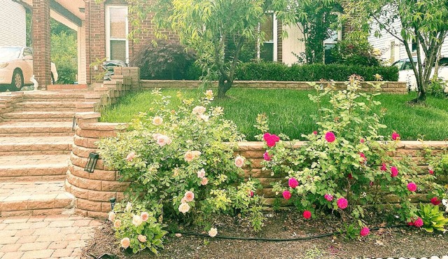 Sterling 4BR- Sleep 8 Private backyard 10 Min to IAD.
