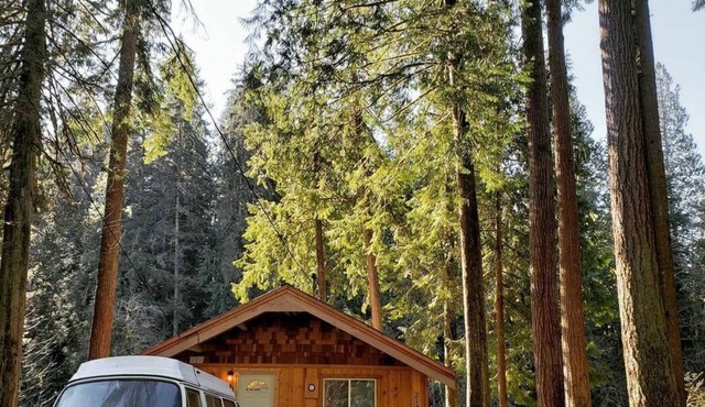 Steven's River Cabin - hot tub-beach-fireplace
