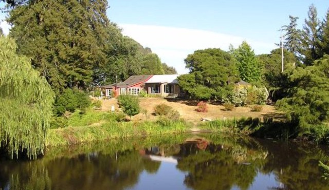 Still Light Pond Mini Country Estate, Dog-Friendly, Hot Tub. Ask about specials!