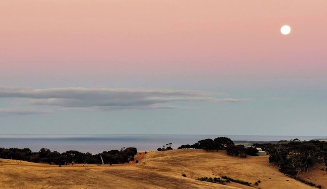 Still Windy Couple's Getaway