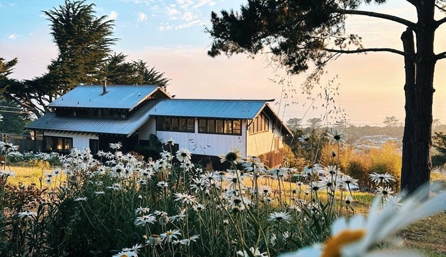 STINSON BEACH VILLA - Unique Gem! STAY WHERE THE BEACH + MOUNTAINS MEET!