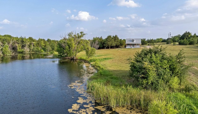 Stocked Fishing Ponds: Texas Getaway w/Cows!