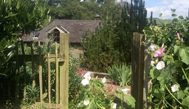 Stone Barn conversion on old traditional hill farm with wood-fired hot tub