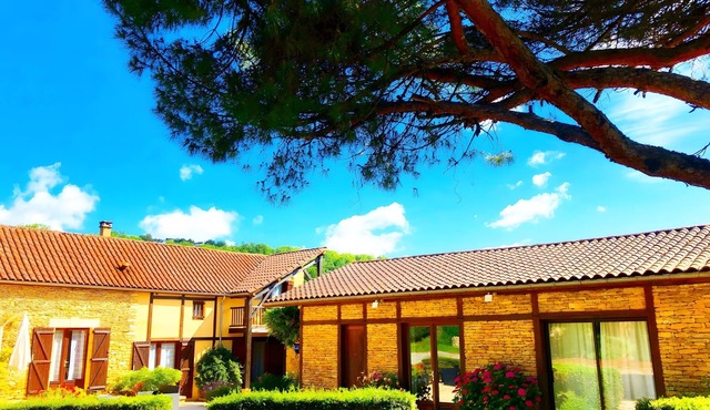 Stone Cottage for 14 with Heated Pool in Peaceful Sarlat Setting