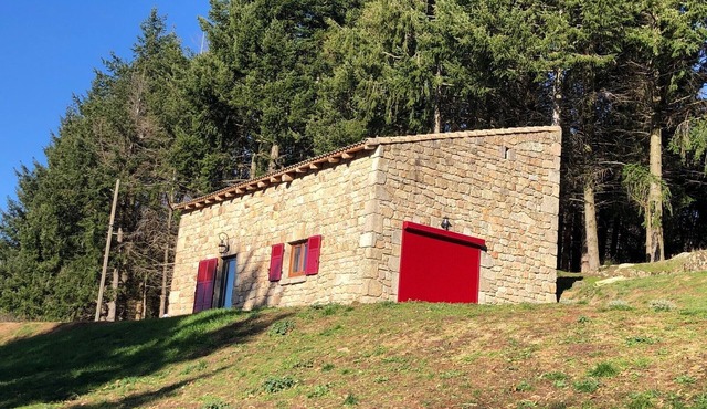Stone and wood character house in a newly converted sheepfold.