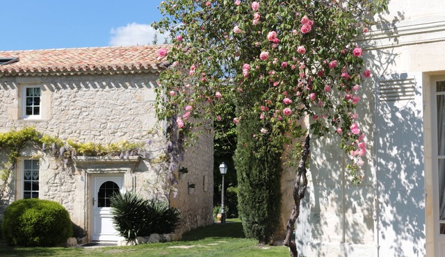Stone house in a quiet park, 20 minutes from St Emilion and Bordeaux