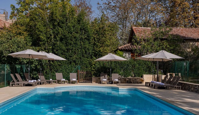 Stone holiday house for 6 with pool in a 17ha private park - 30 min from Agen
