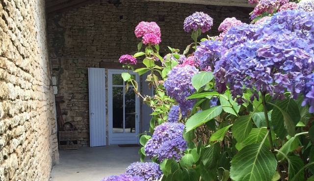 Stone house in a calm hamlet in the Poitou-Charentes region