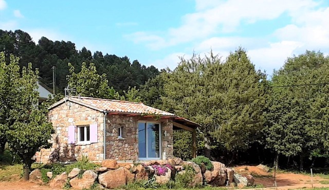 Stone House in France with Pool & Vineyards