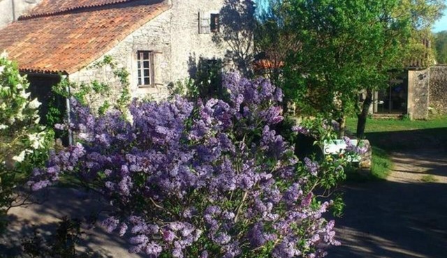 Stone house in the heart of Larzac – Nature, free-roaming horses, and guaranteed relaxation