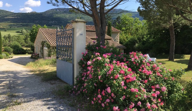 stone house with swimming pool surrounded by lavender, apricot trees .