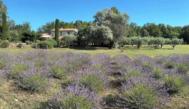 Stone villa with pool, view and privacy in South Luberon close to best villages