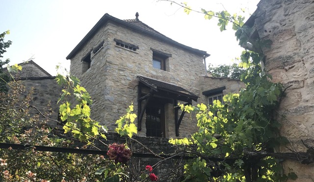 Stone village house with dovecote and large terrace