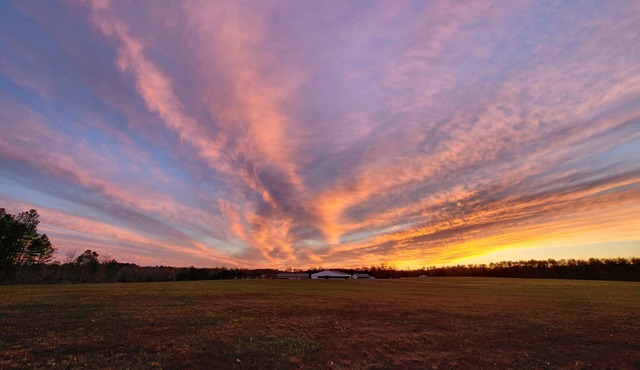 Stonewall Manor nCozy 1-bedroom with WiFi and AC on five star horse farm.