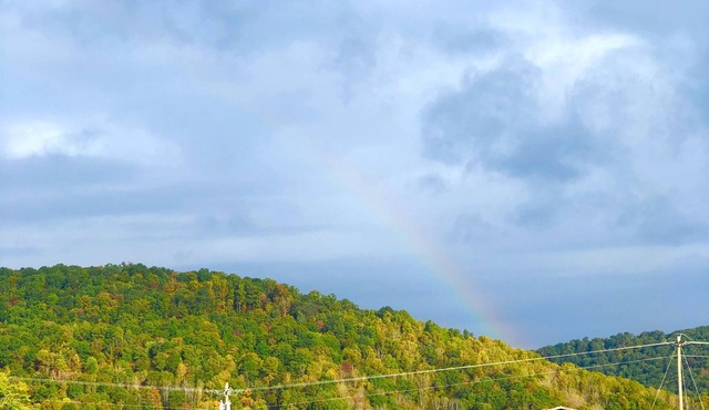 Stoney Creek Oasis Tent Sites and Glamping Yurts