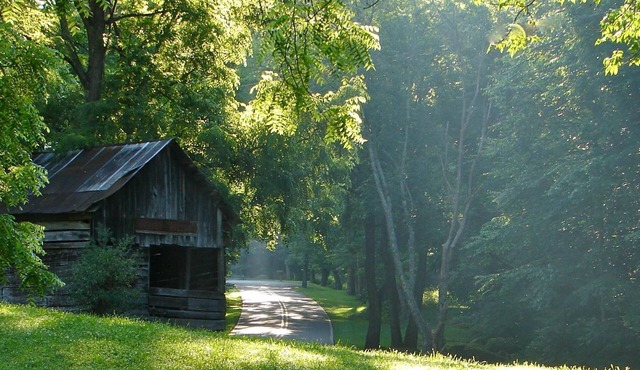 Stoney Hollow Farm Cabin
