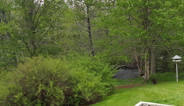 Stoneybrook House - historic property on 1.7 acres of land