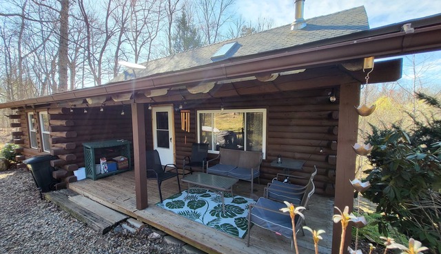 Stony Point Cabin-3 bed, Rustic Log Cabin Getaway!