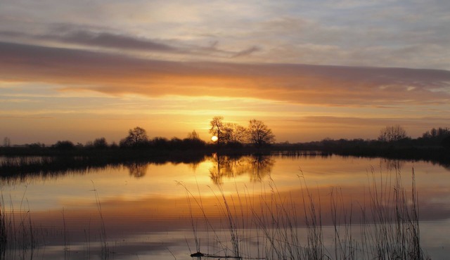 Stopover gîte in Brière, regional ornithological park