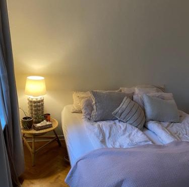 Stort værelse udlejes i herskabslejlighed midt i Odense by