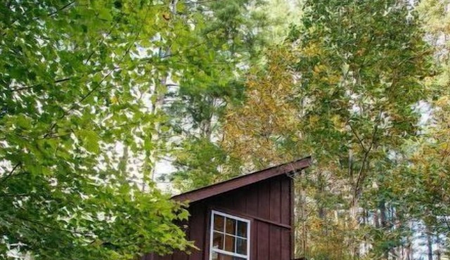 Storybrooke Cabin- Pond, Outdoor Fireplace, Trails
