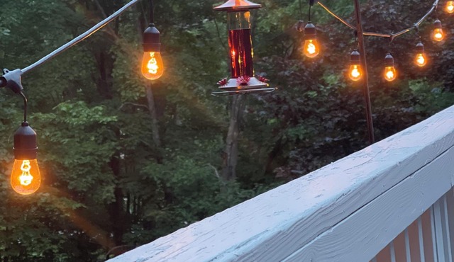 Storyland and Summer are coming! Large North Conway, NH home w/plenty of space.