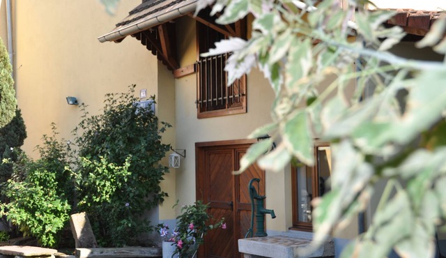 Strasbourg 15 minutes from the city center, close to the European institutions