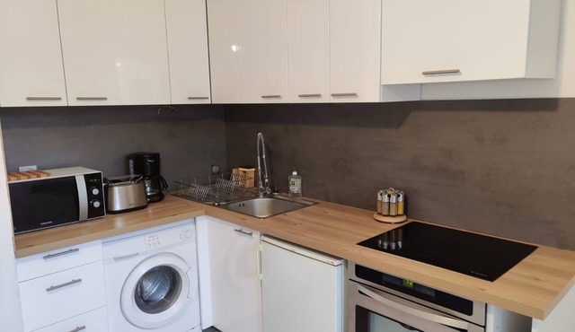 Strasbourg center, T2, 10min walk to Christmas market