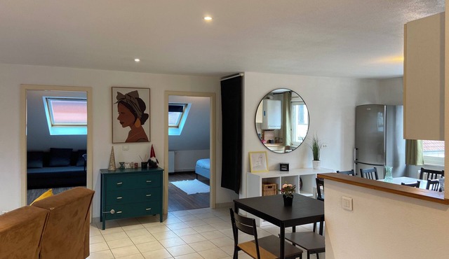 Strasbourg-chaleureux-parking-wi-fi-tv-proche Hypercentre