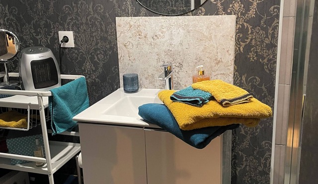 Strasbourg near downtown, charming apartment, outdoor space, private parking.