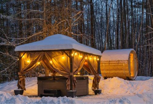 Stratton Ski Haus, Green Mountain Wellness Retreat, Hot Tub & Barrel Sauna
