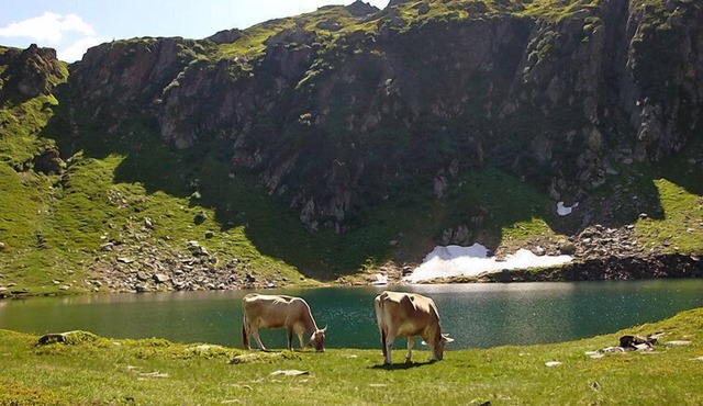 Strecce 2 by Interhome