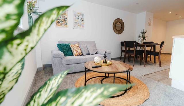 Street View Modern Apartment