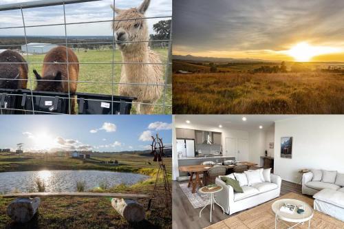 Stringybark Quarters: Queen Luxe Country Escape